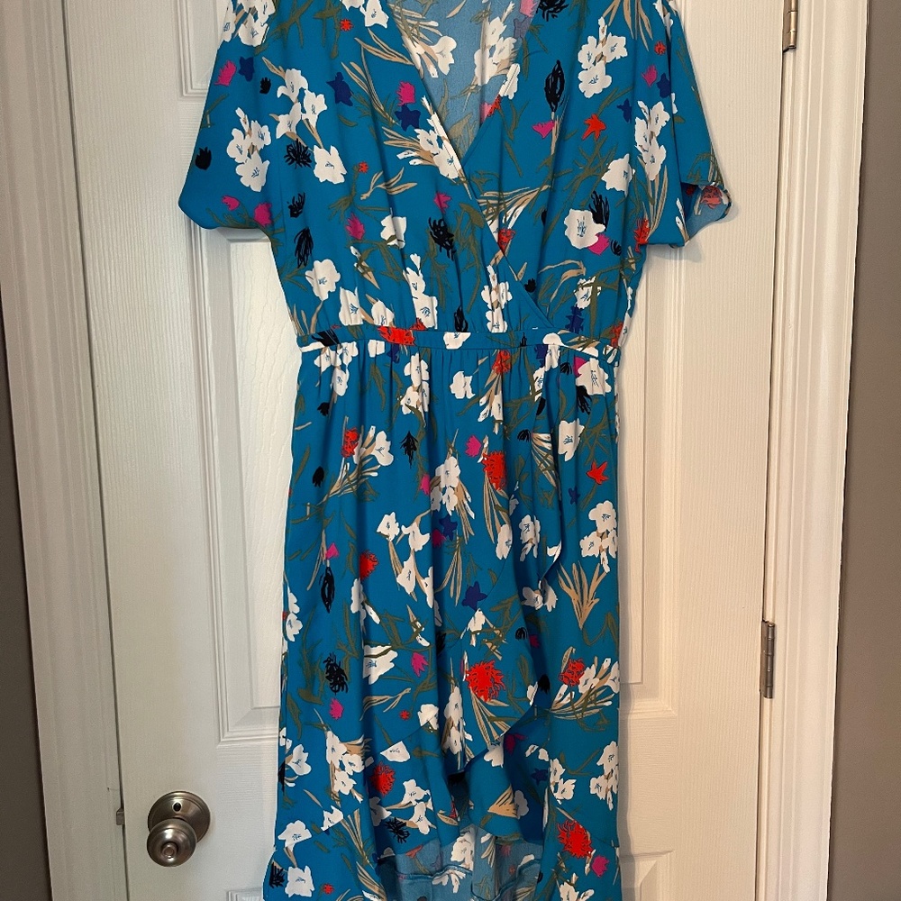 J Crew Dress